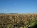 PA280296.JPG